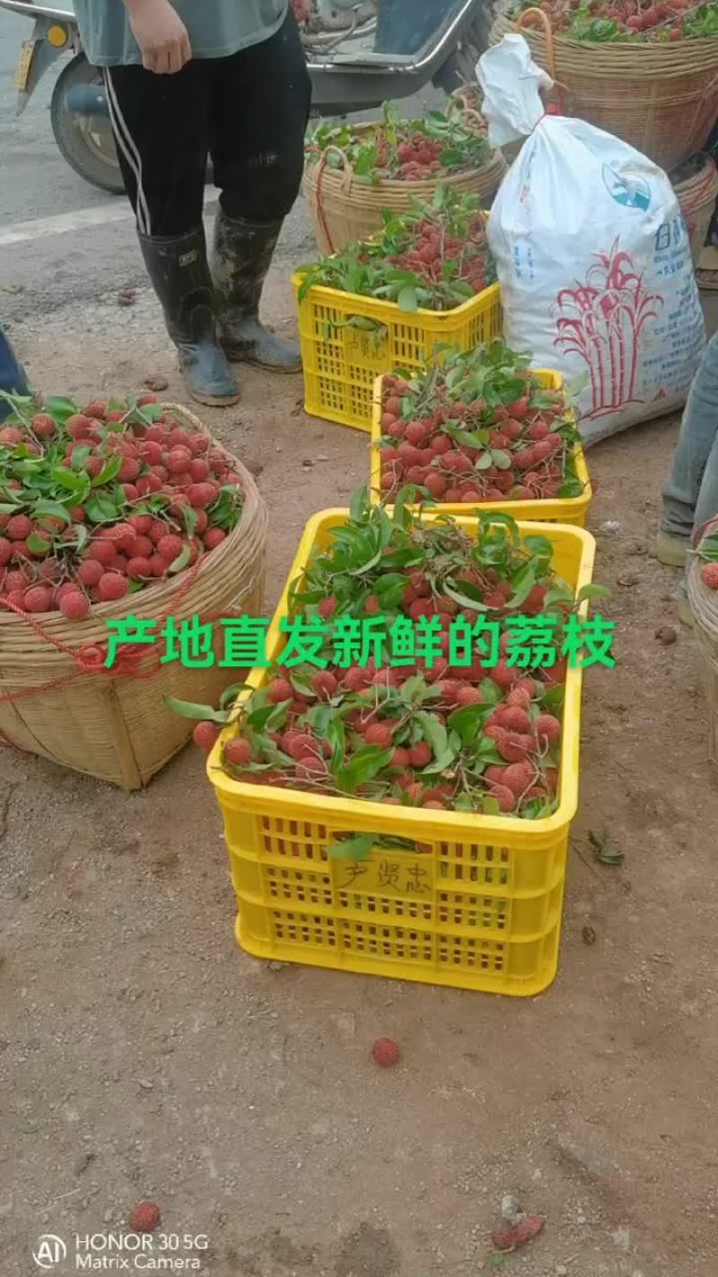 荔枝，色泽红润口感香甜，产地直发价格超低