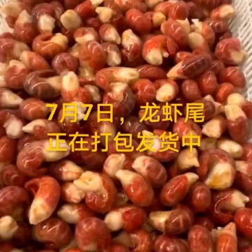 龙虾尾