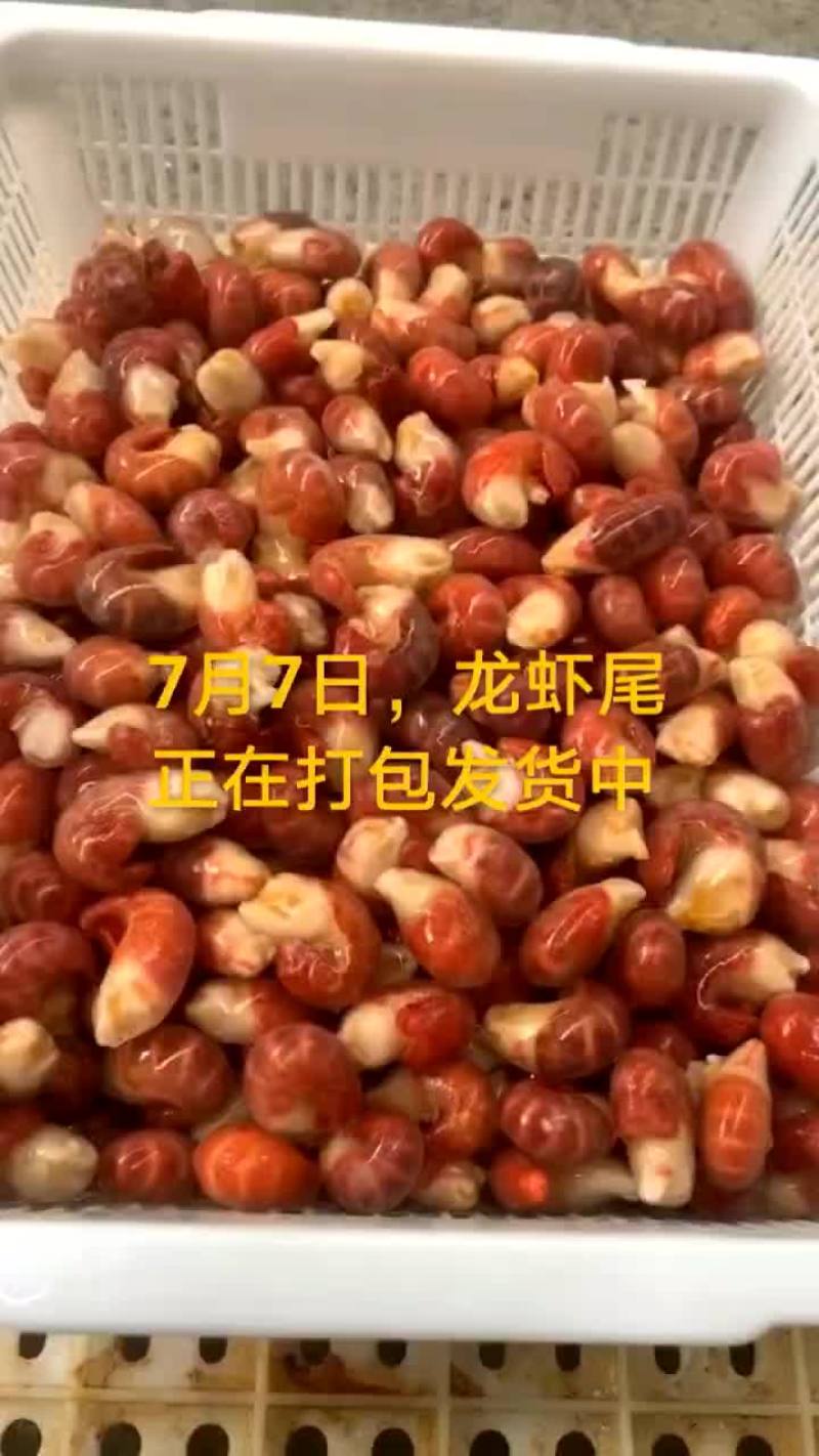 龙虾尾