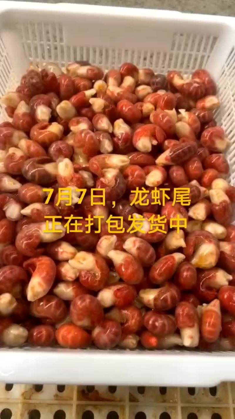 龙虾尾