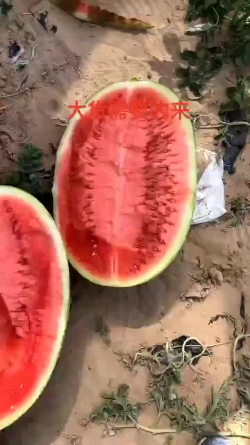 西瓜