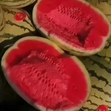 本人常年代发宁夏石头瓜