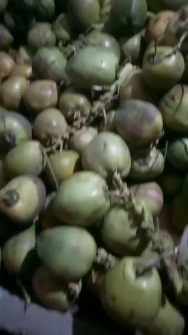 椰子果
