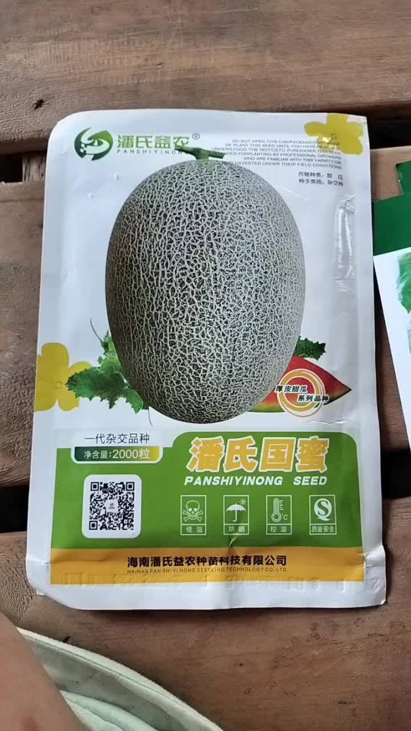 哈密瓜种子