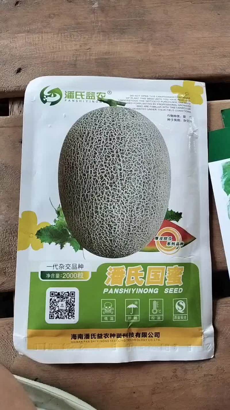 哈密瓜种子