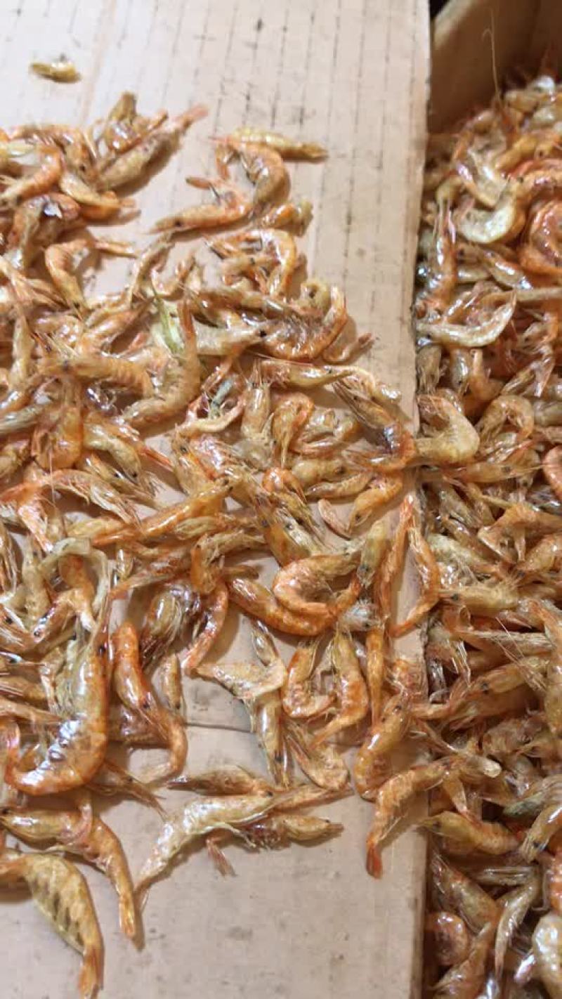 烤河虾无添加剂自然风干量大从优欢迎咨询