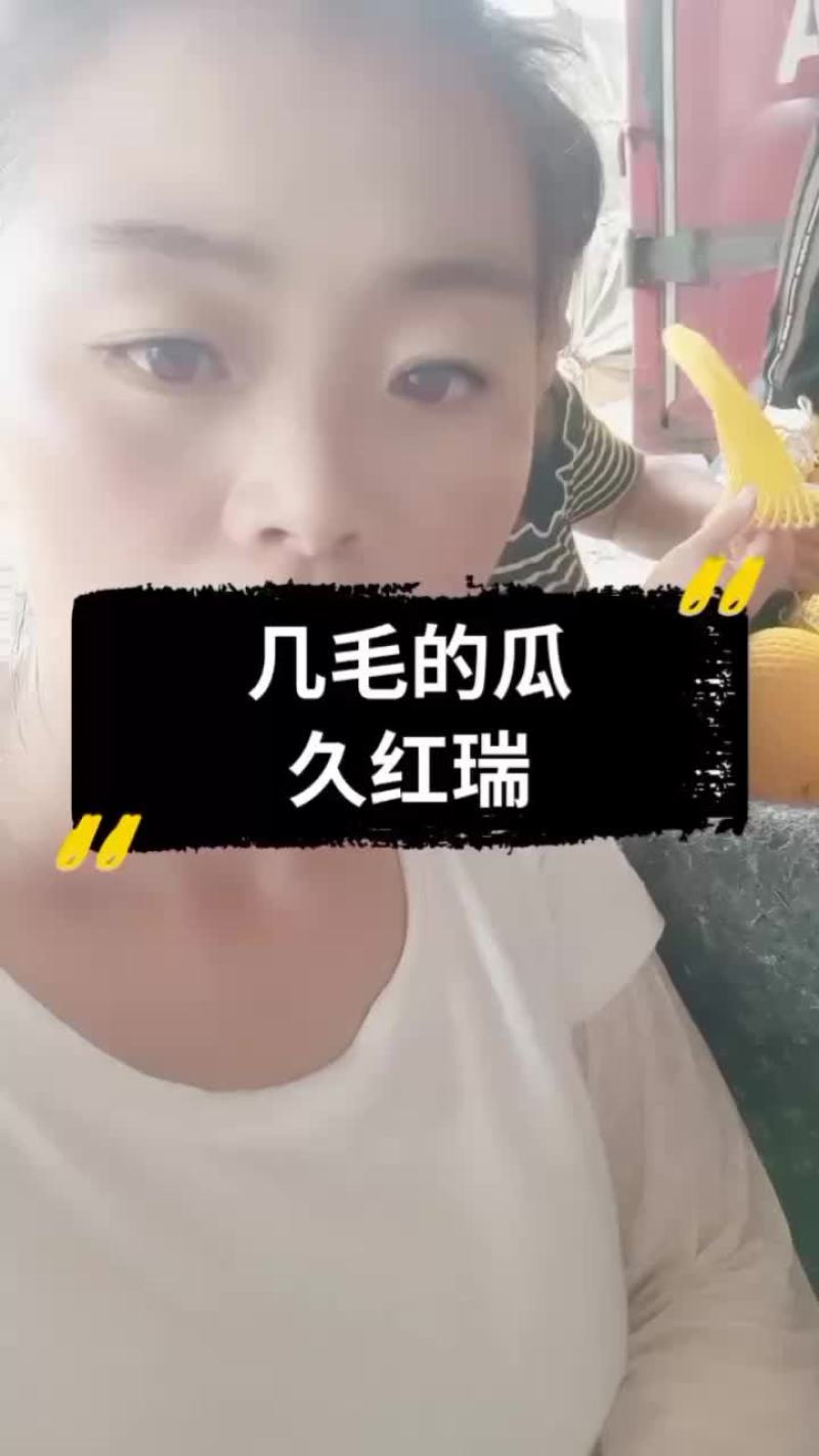 久红瑞山东久红瑞甜瓜大量供应美团电商各个平台