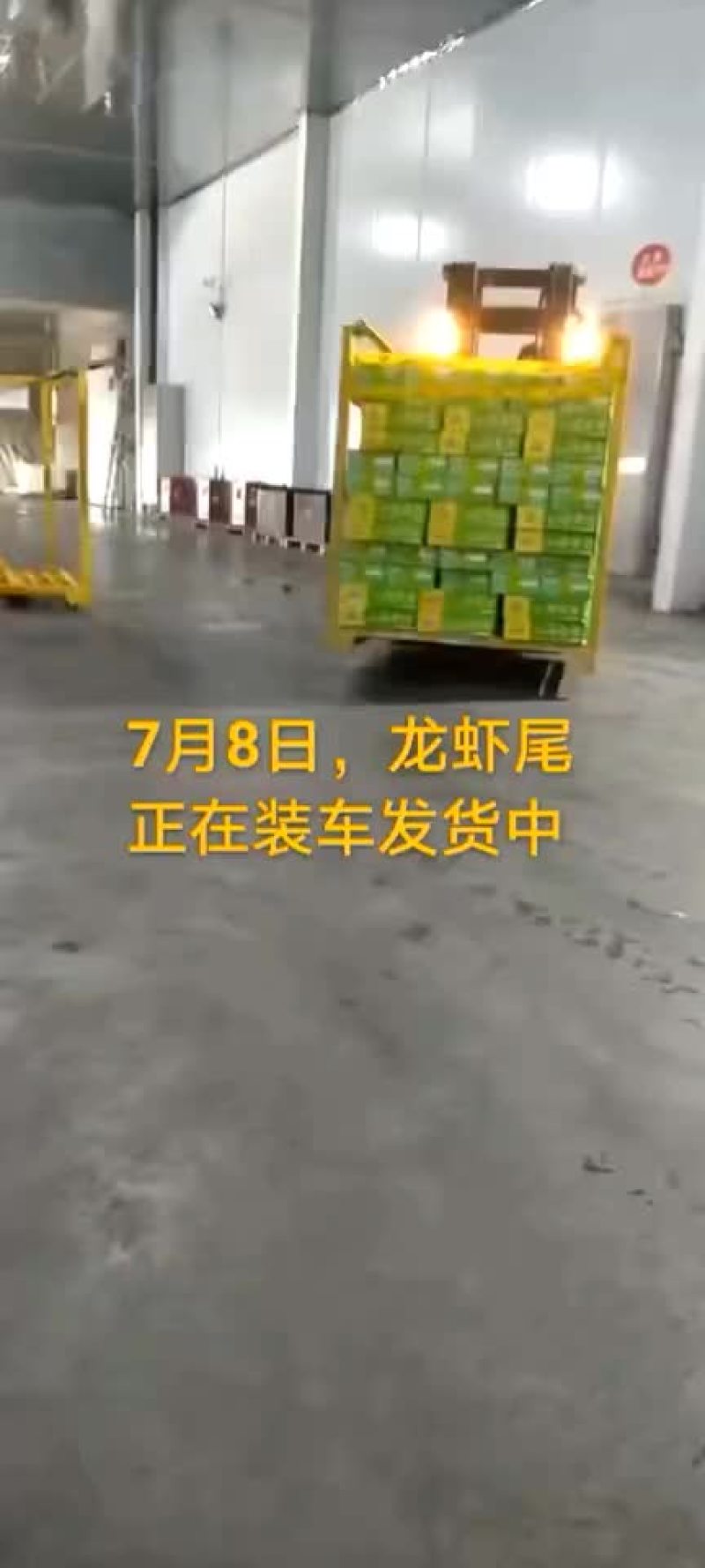 龙虾尾