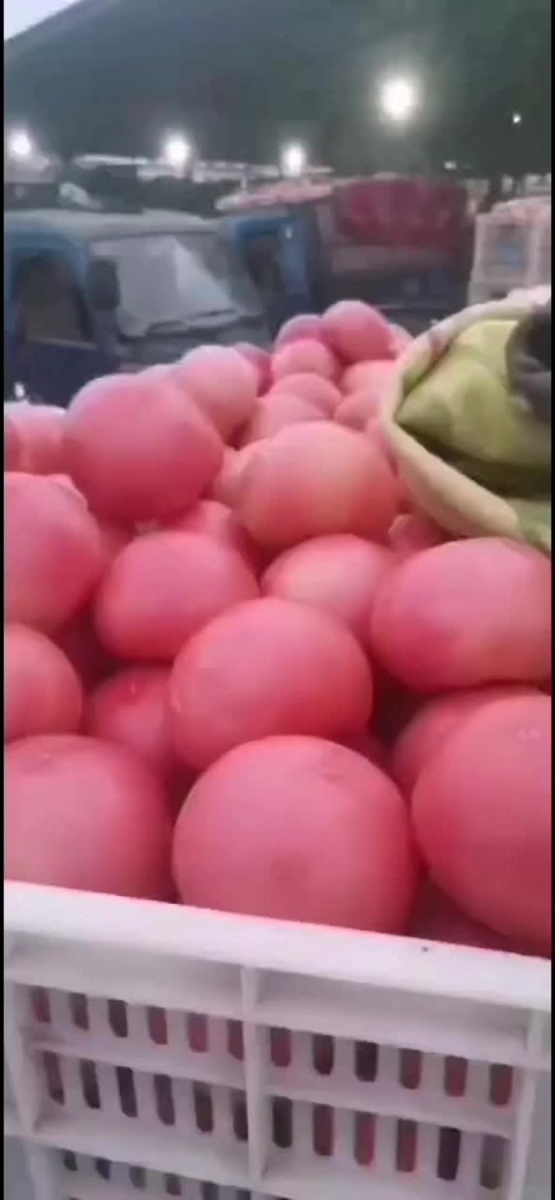 精品硬粉西红柿大量上市。货源充足，质量杠杠的