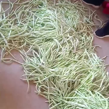 各种豆角辣椒上市了