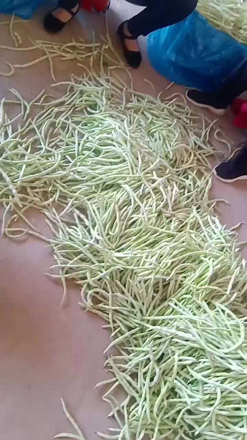 各种豆角辣椒上市了