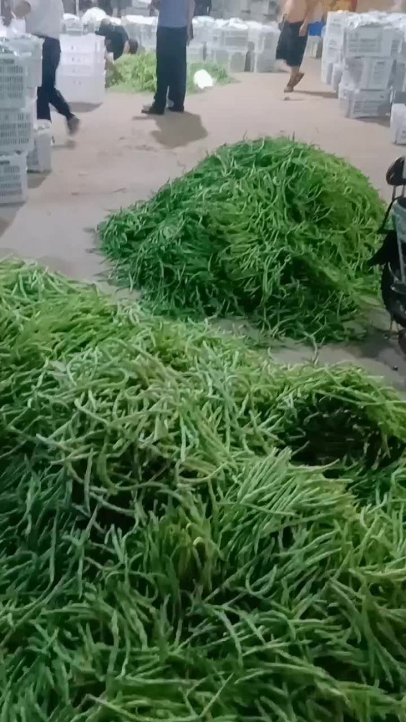 各种豆角辣椒上市了