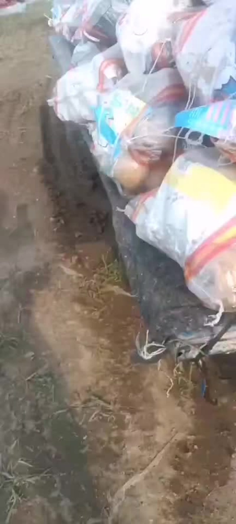 优质电商土豆