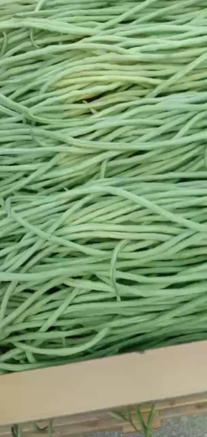 常年有货，价格美丽，欢迎老板们选购