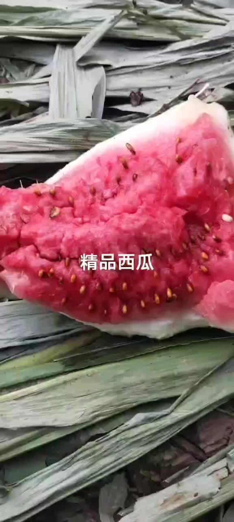 皮薄口感好