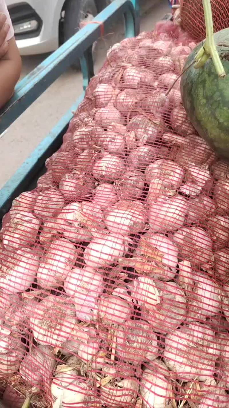 大蒜