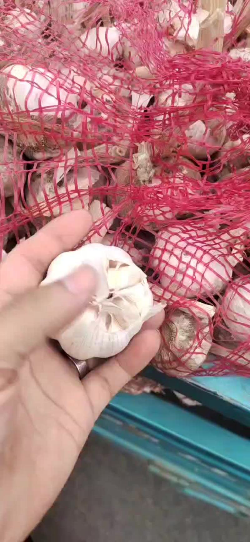 大蒜