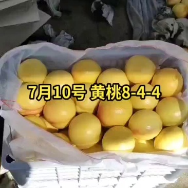 一天几十万斤的量