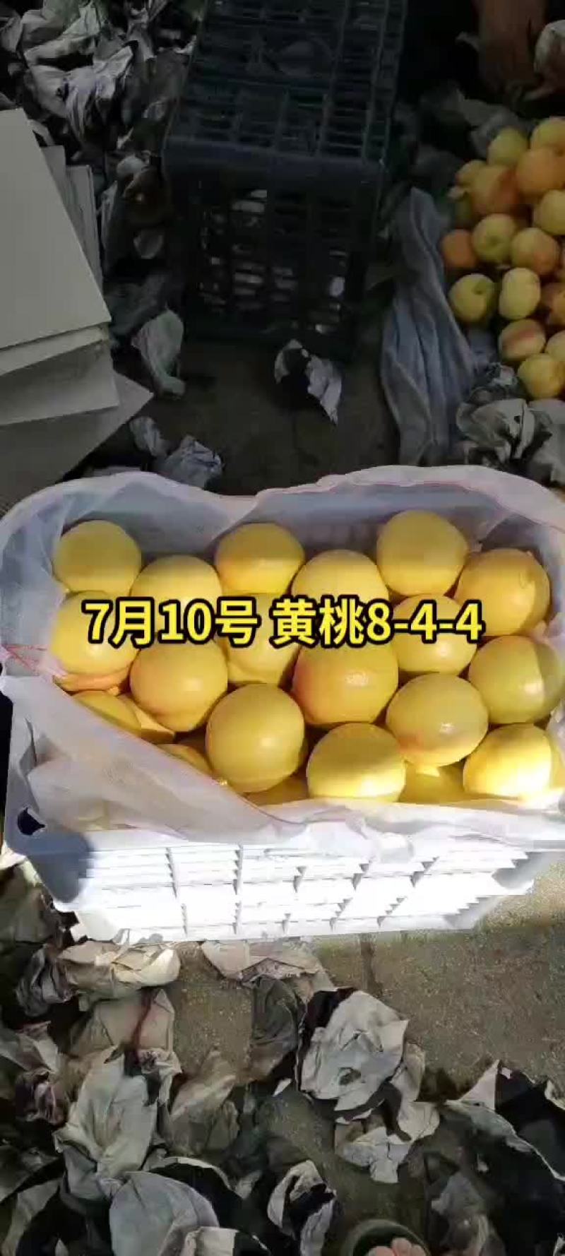 一天几十万斤的量