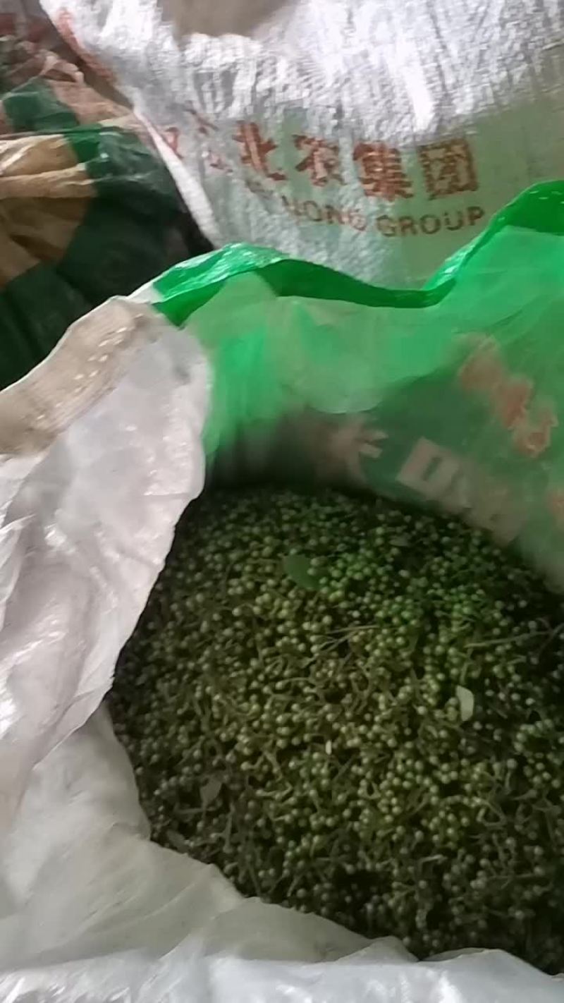 山苍籽，木姜籽，山胡椒