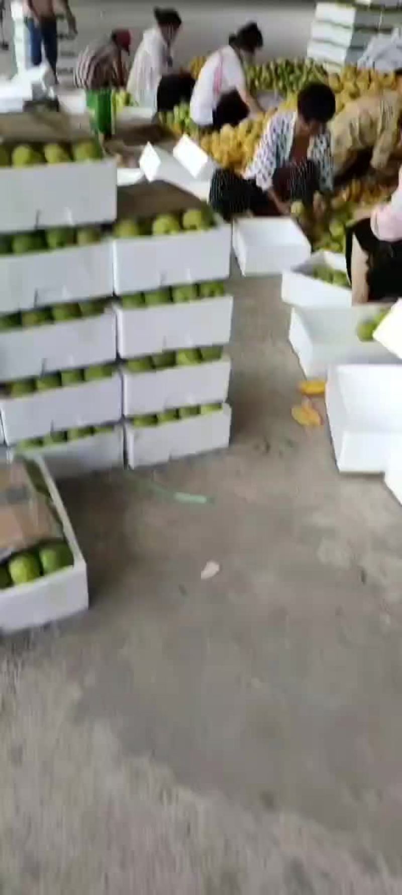 梨