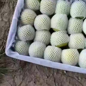 梨