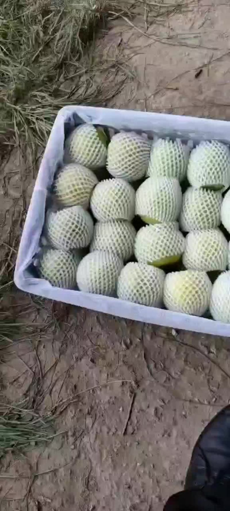 梨