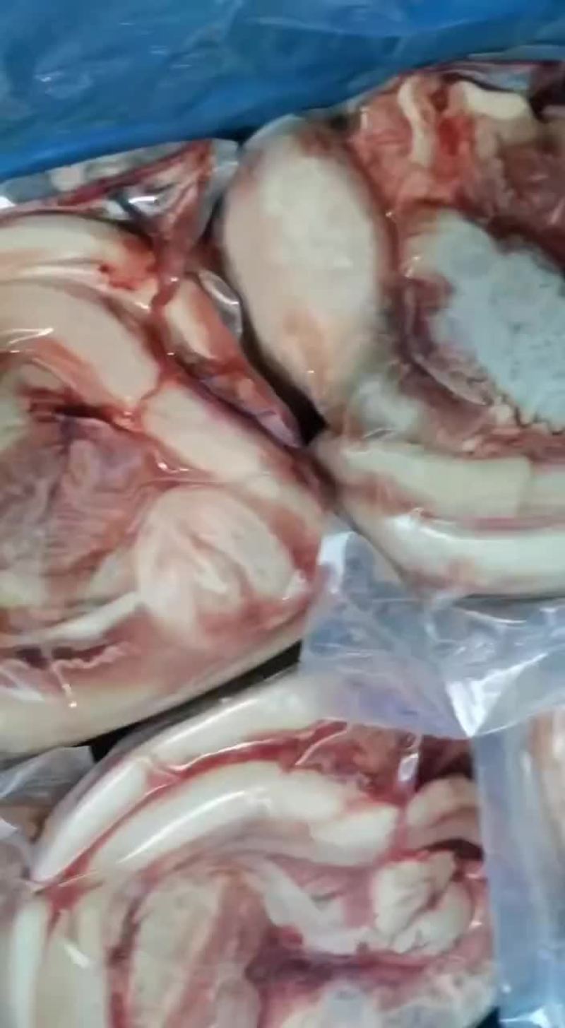 国产鲜牛鞭