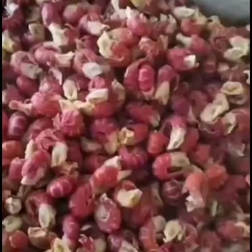 虾尾