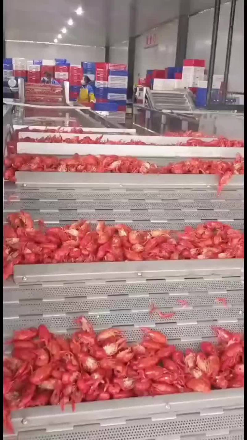 虾尾