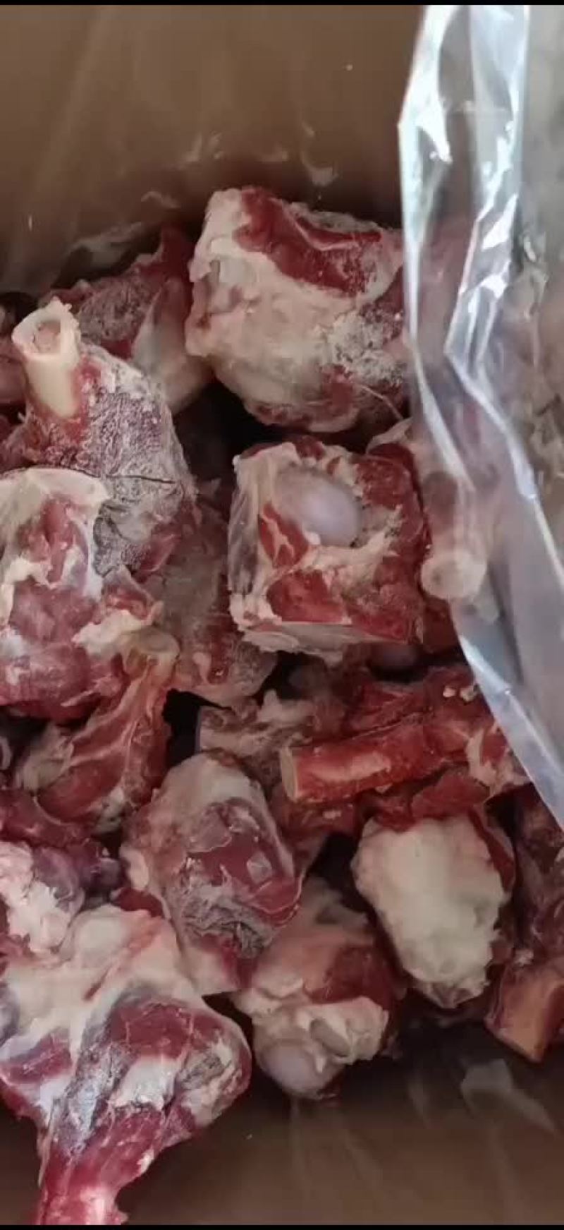 加肉育肥羊腿骨