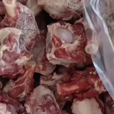 加肉育肥羊腿骨