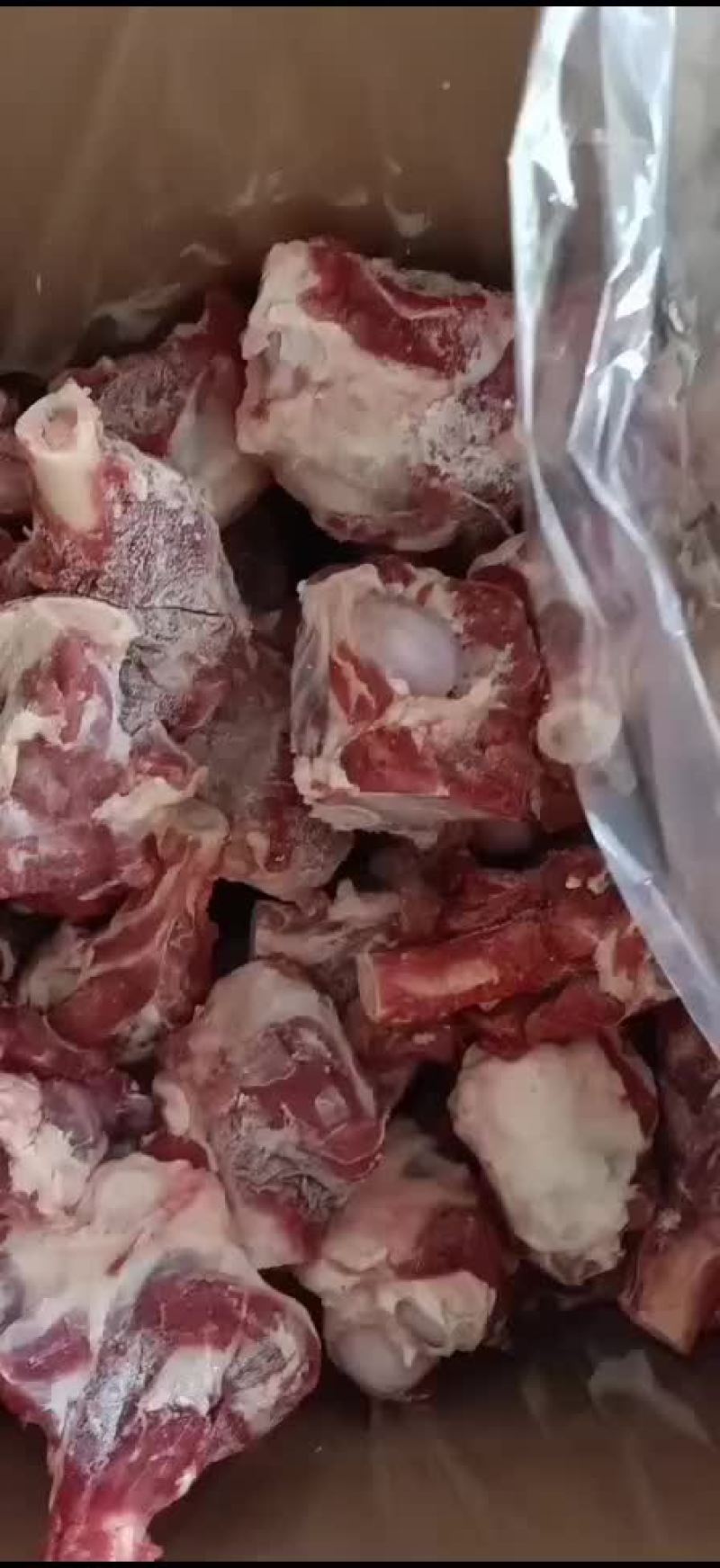 加肉育肥羊腿骨