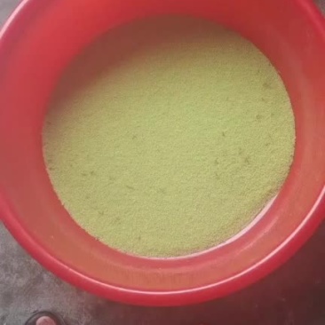 优质豆虫卵