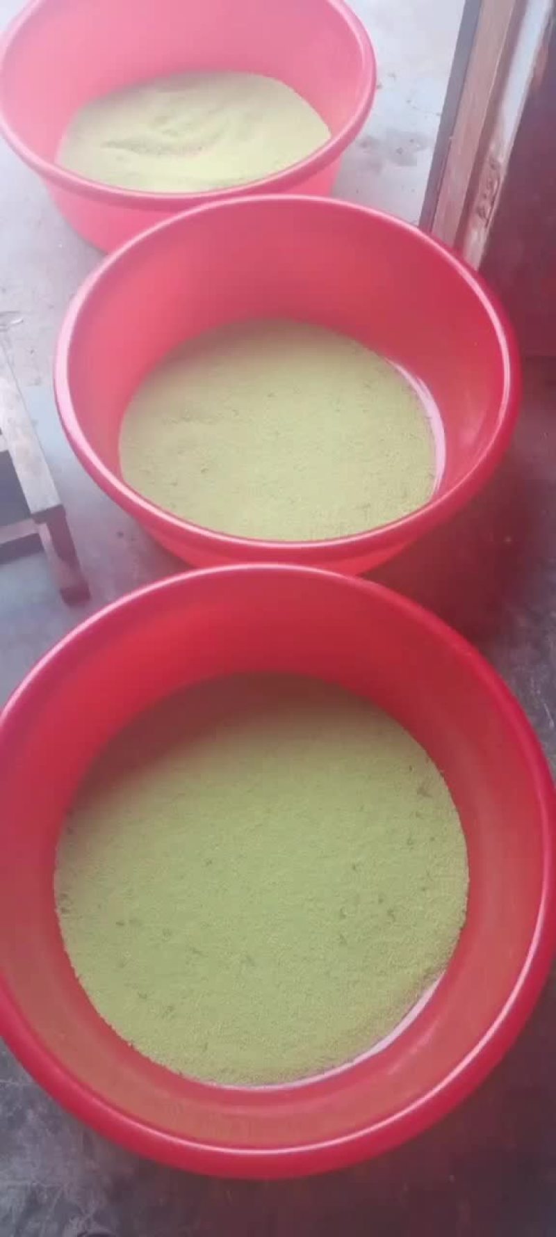 优质豆虫卵