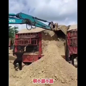 甘蔗渣