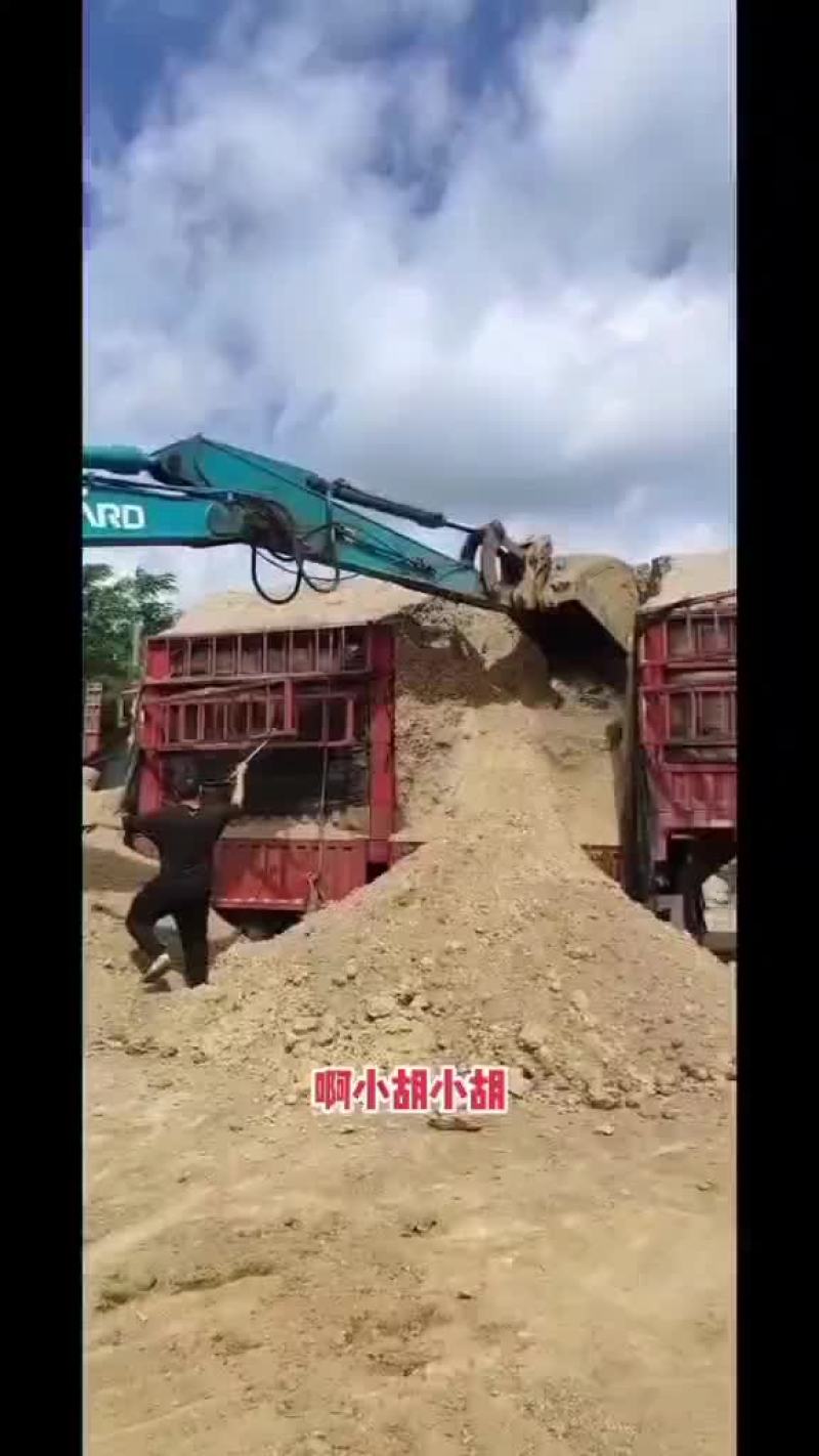 甘蔗渣