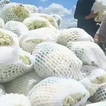 花菜