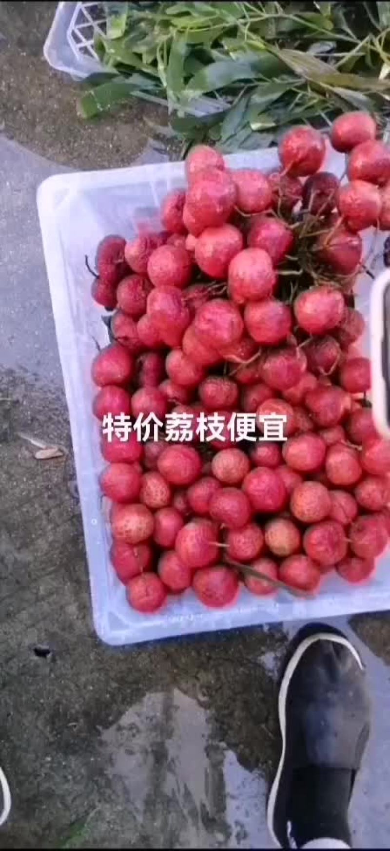 特价荔枝