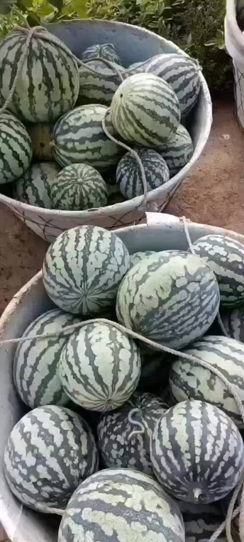 有子美都