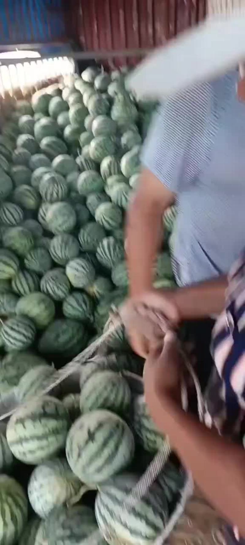 有子美都