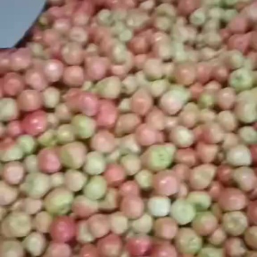 硬粉