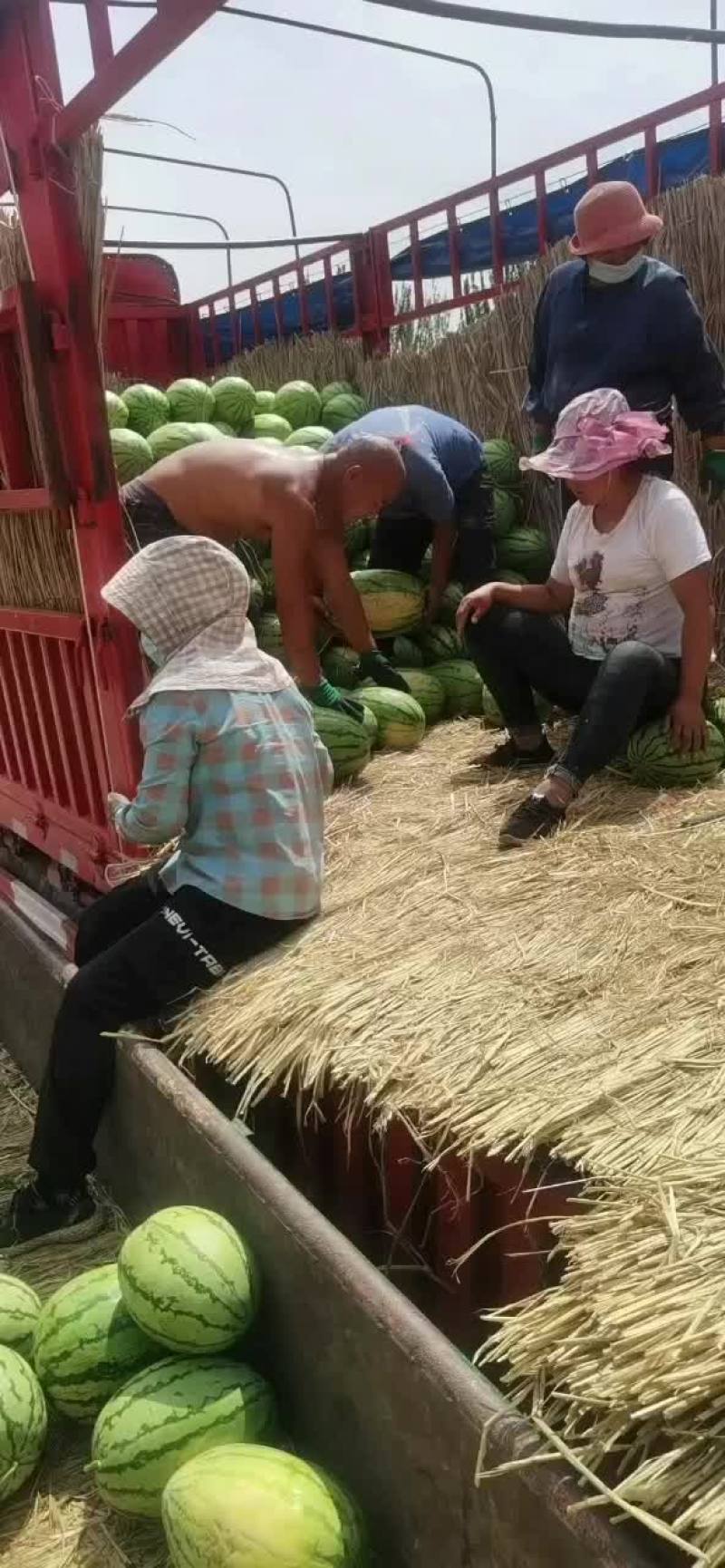 内蒙古巴彦淖尔市乌拉特前旗沙漠一号，绿爽金城五，实力代办