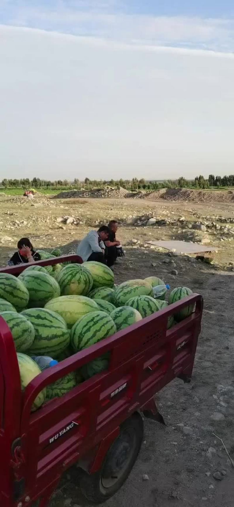 内蒙古巴彦淖尔市乌拉特前旗沙漠一号，绿爽金城五，实力代办