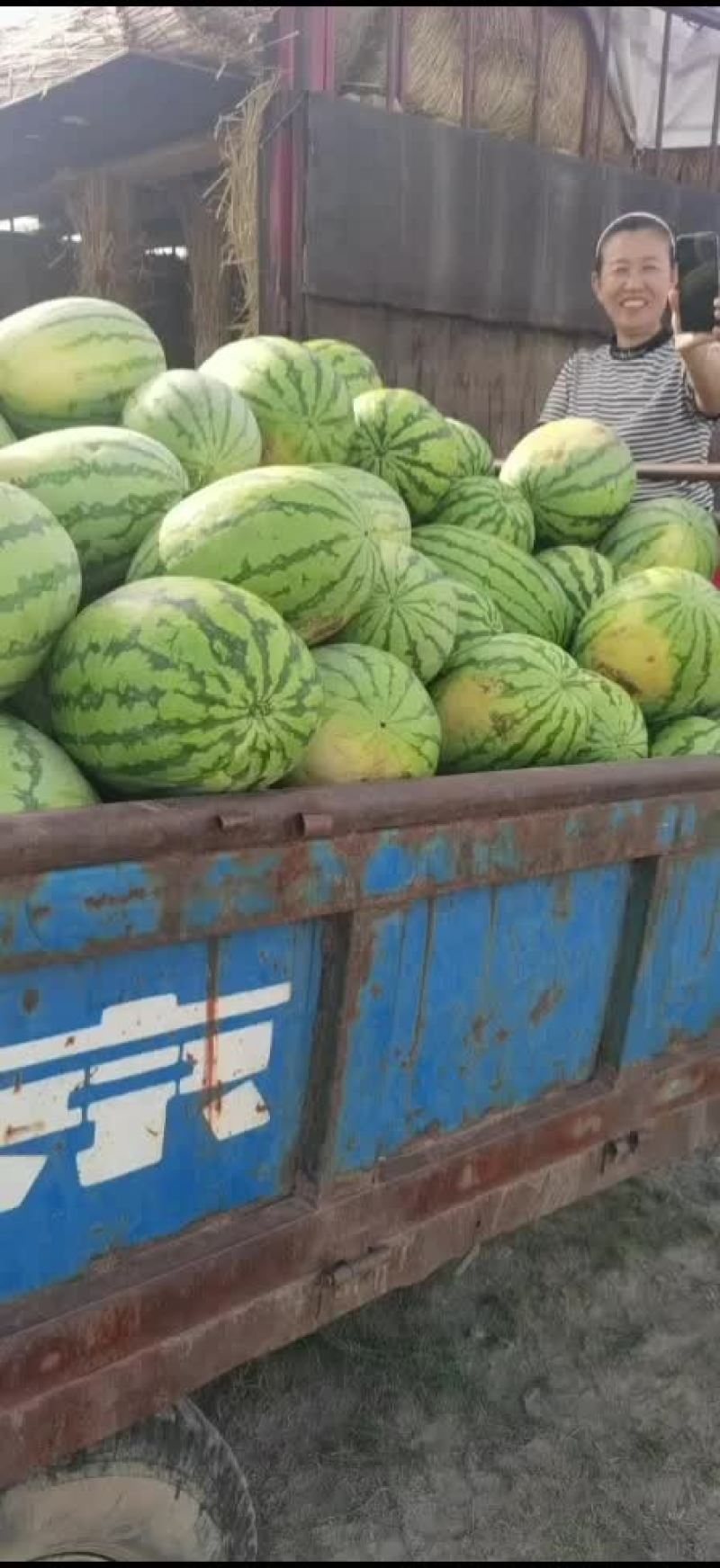 内蒙古巴彦淖尔市乌拉特前旗沙漠一号，绿爽金城五，实力代办