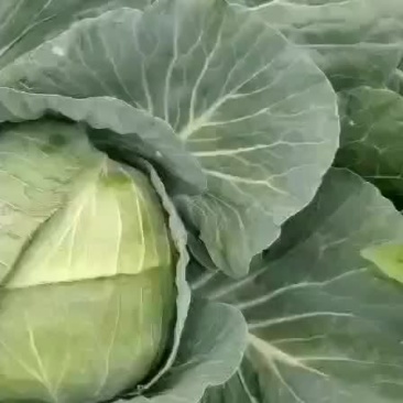 量大质量好价格美丽
