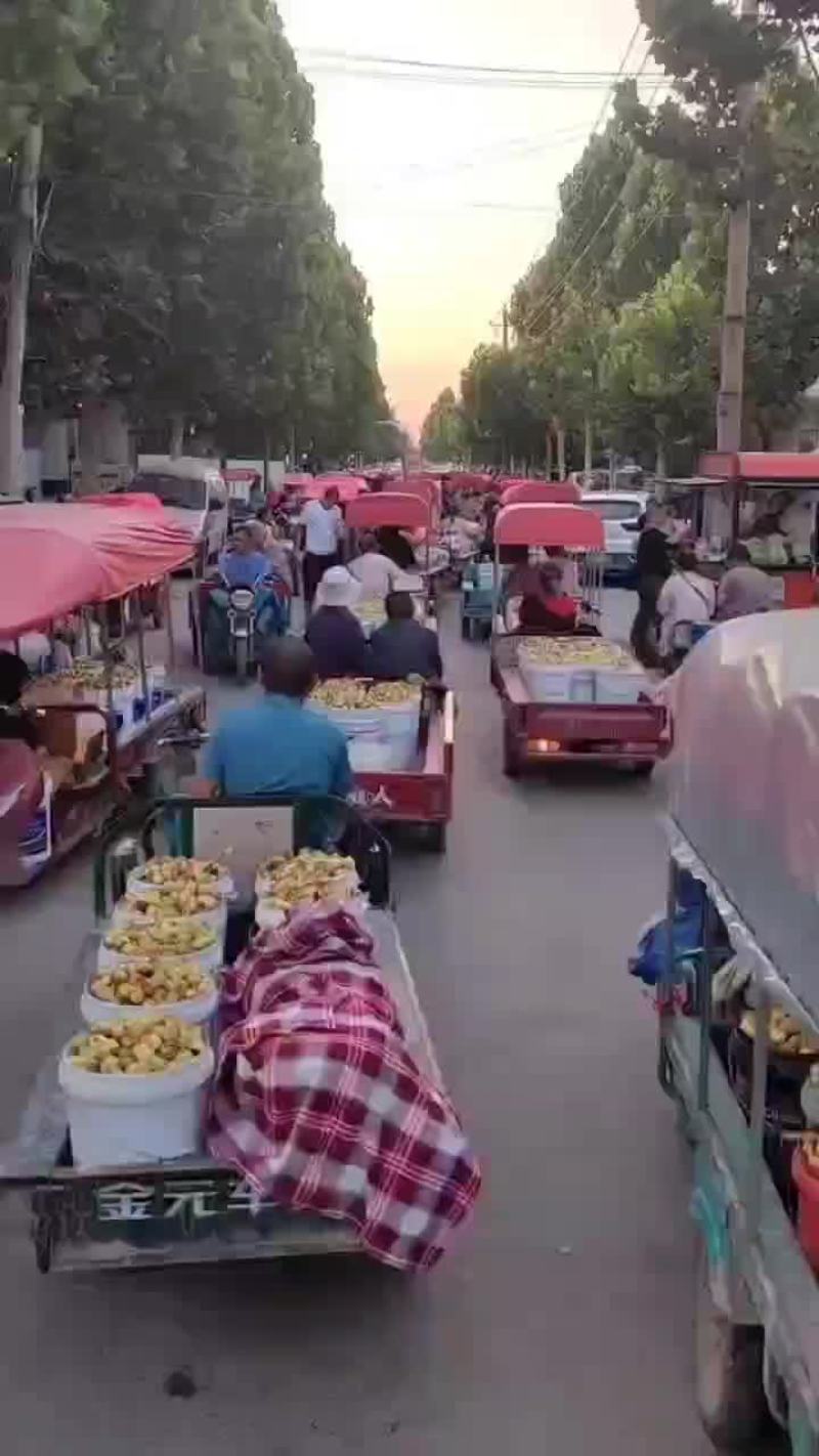 冬枣