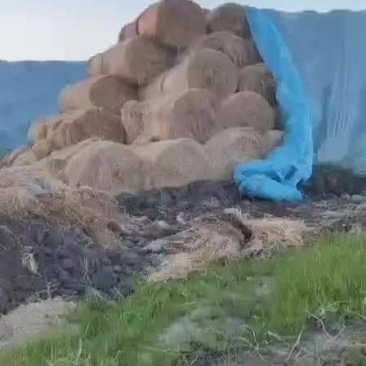 精品稻草原料