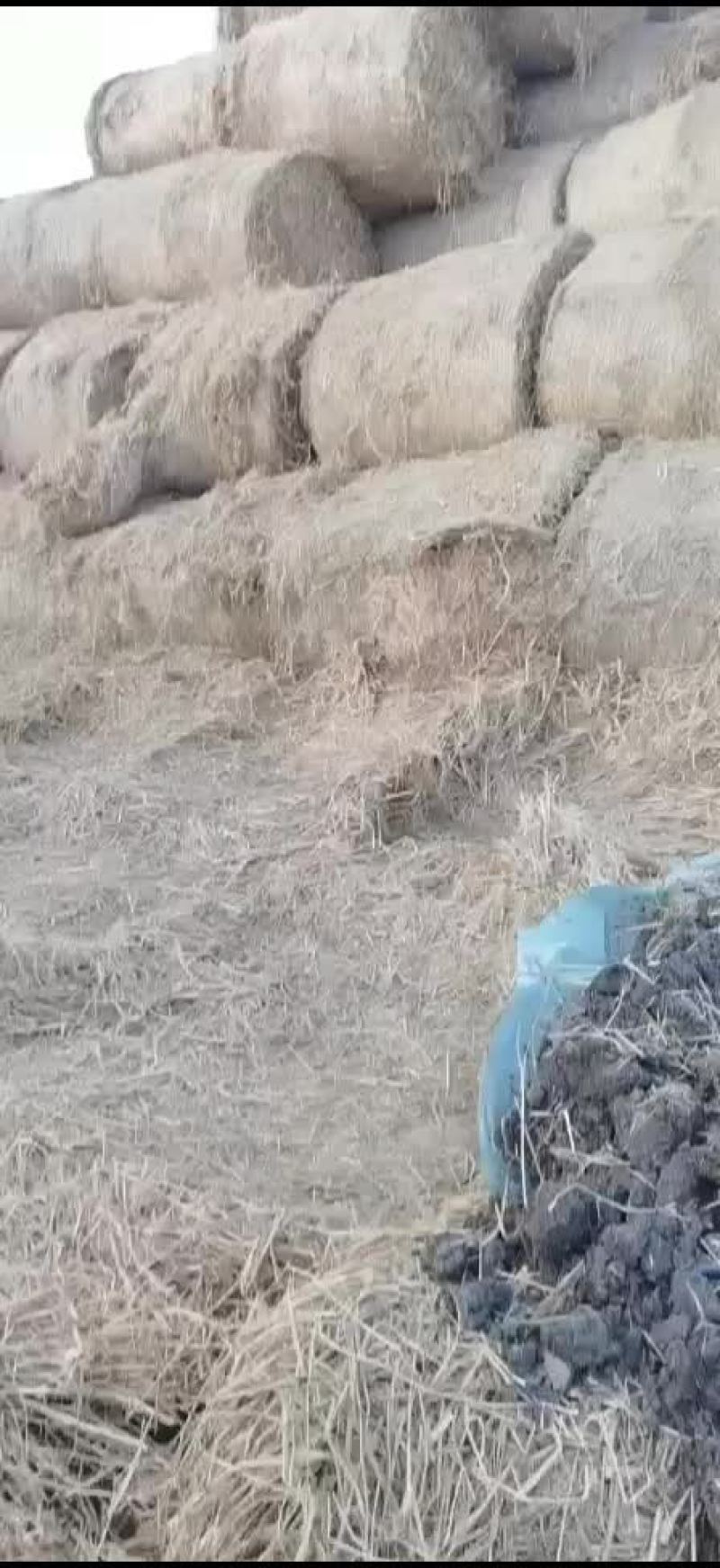 精品稻草原料