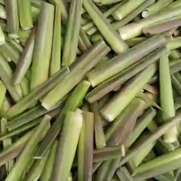 磐安茭白